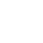Search Icon